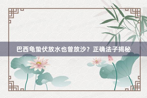 巴西龟蛰伏放水也曾放沙？正确法子揭秘