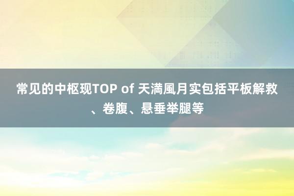 常见的中枢现TOP of 天満風月实包括平板解救、卷腹、悬垂举腿等